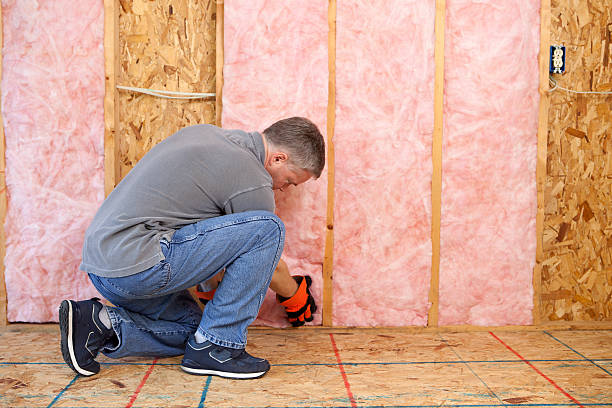 Best Insulation Installation Services in Tuckerman, AR
