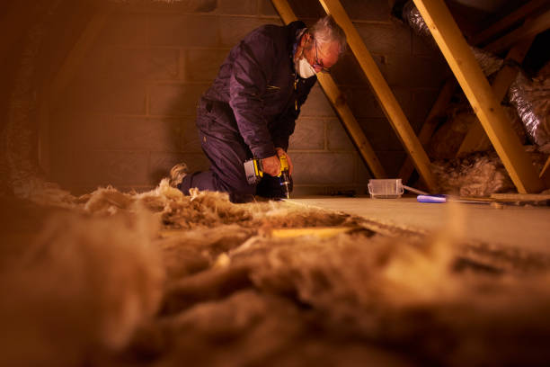Best Specialty Insulation in Tuckerman, AR